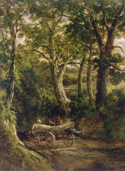 Gathering Timber by Henry Earp